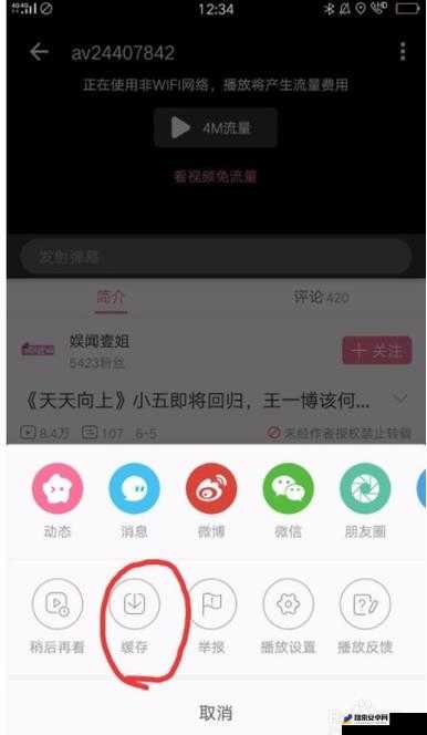 如何便捷进行逼哩逼哩下载及相关操作指南